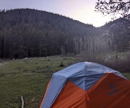 Gold Creek Campground - Gunnison RD