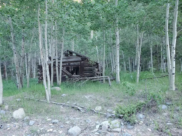 Gold Creek Campground - Gunnison RD Picture 7