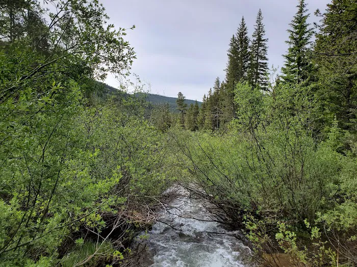 Gold Creek Campground - Gunnison RD Picture 4
