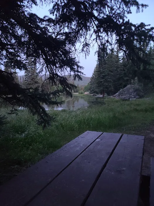 Pitkin Picture 6