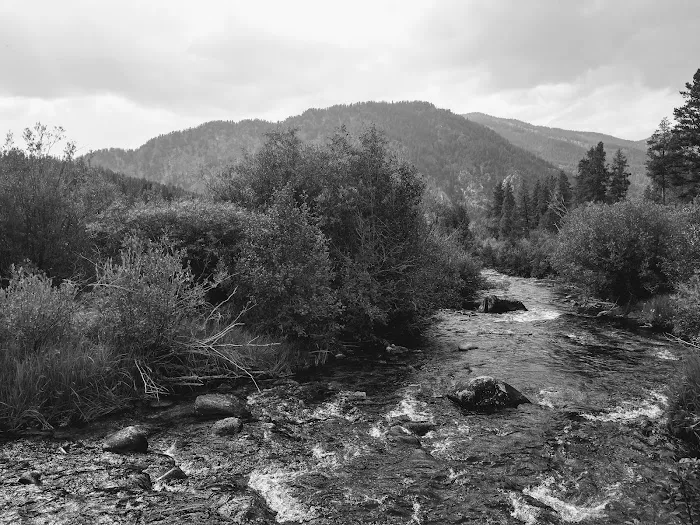 Lottis Creek Campground Picture 9