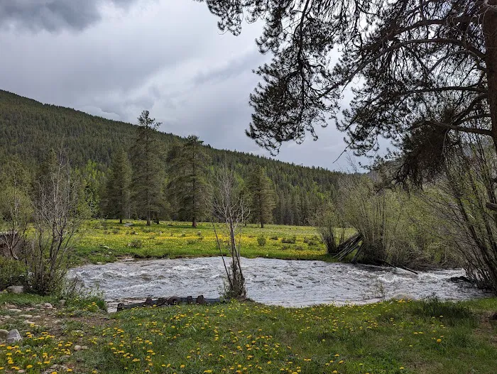 Lottis Creek Campground Picture 8