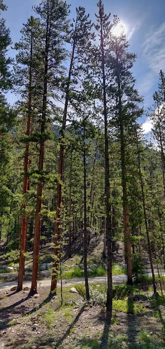 Lottis Creek Campground Picture 5