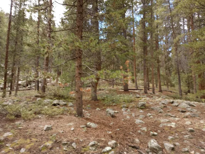 Cold Spring Campground - Gunnison RD (recgovnpsdata) Picture 4