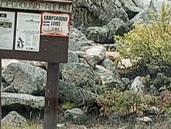 Cold Spring Campground - Gunnison RD (recgovnpsdata) Picture 3