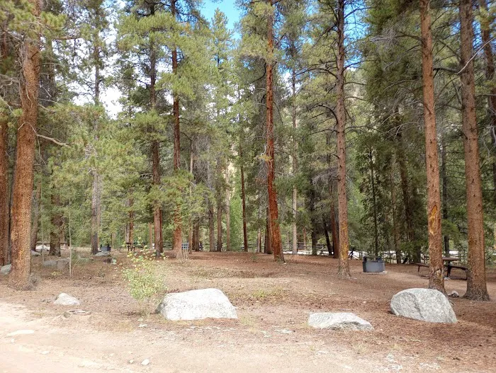 Cold Spring Campground - Gunnison RD (recgovnpsdata) Picture 7