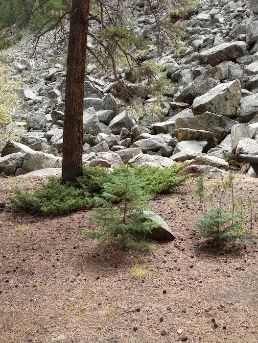 Cold Spring Campground - Gunnison RD (recgovnpsdata) Picture 5