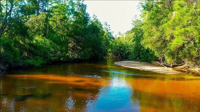 The Retreat RV & Campground on Styx River Picture 8