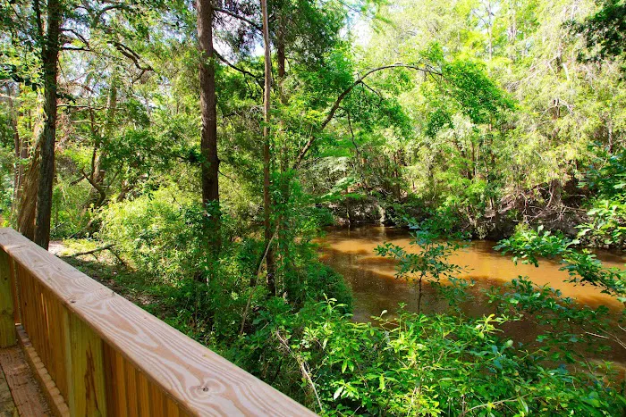 The Retreat RV & Campground on Styx River Picture 1