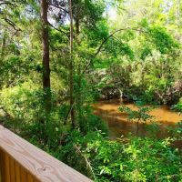 The Retreat RV & Campground on Styx River ico