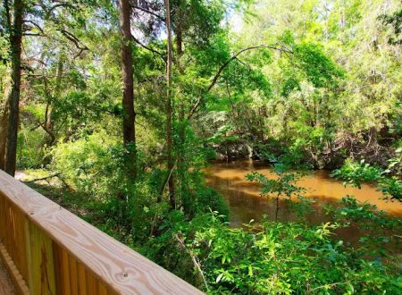 The Retreat RV & Campground on Styx River
