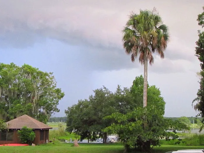 Withlacoochee Backwaters RV & MH Park Picture 3