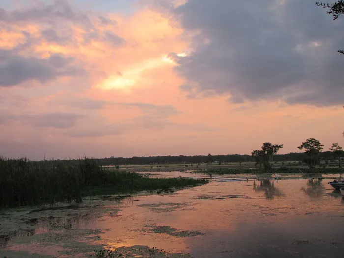 Withlacoochee Backwaters RV & MH Park Picture 7