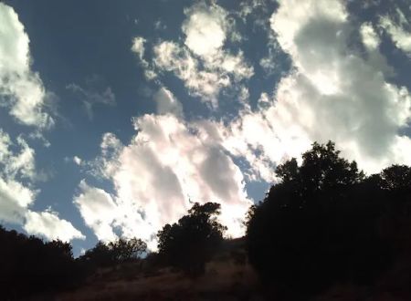 Rincon Campground