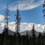 Monarch Park Campground