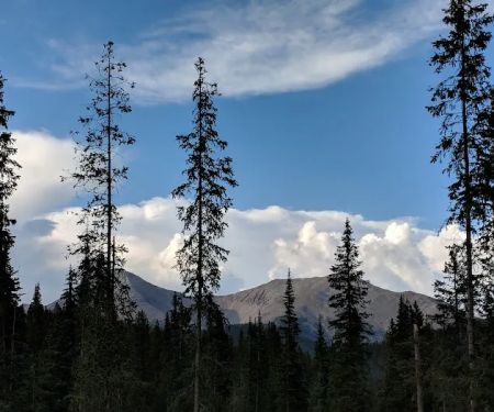 Monarch Park Campground