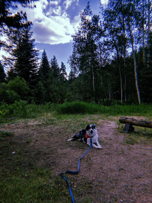 Snowblind Campground Picture 1