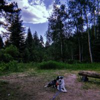 Snowblind Campground ico