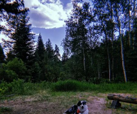 Snowblind Campground
