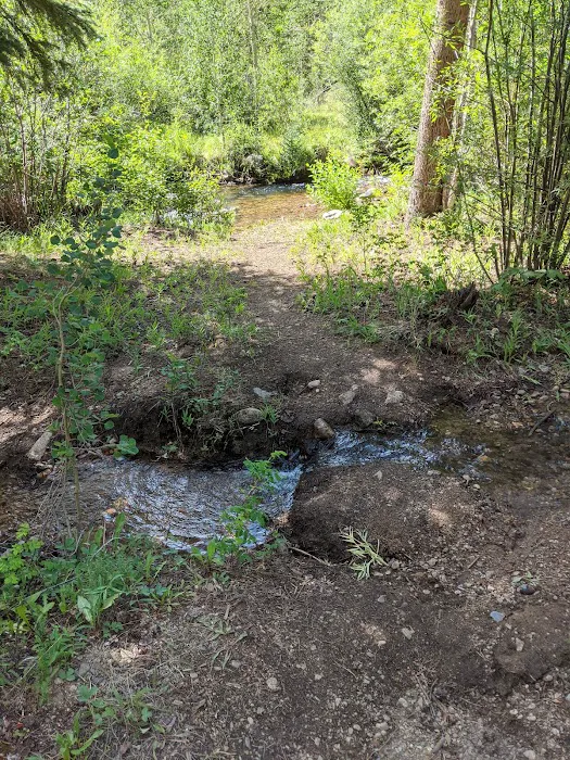 Snowblind Campground Picture 10