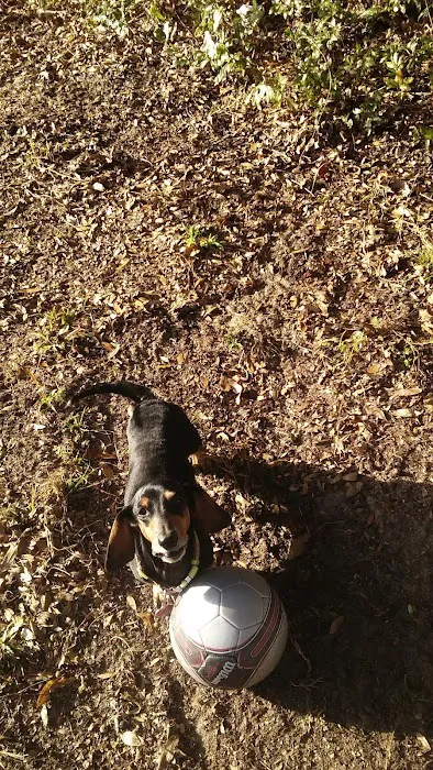Marie's Mobile Home Park Picture 7