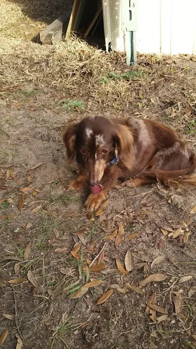 Marie's Mobile Home Park Picture 3