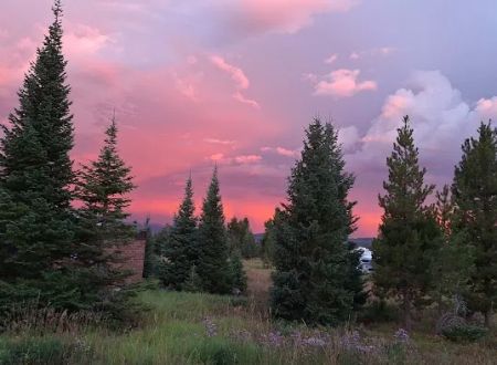 Dutch Hill Campground
