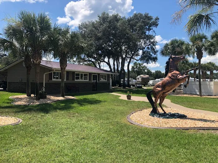 Ocala Sun RV Resort Picture 5