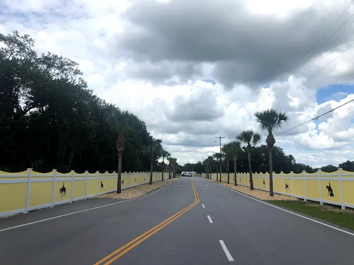 Ocala Sun RV Resort Picture 8