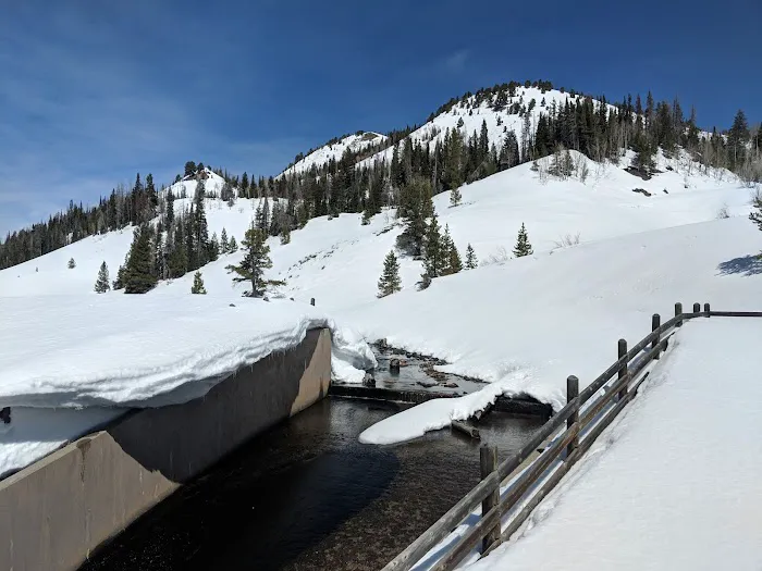 Hahns Peak Lake Picnic Site Picture 1