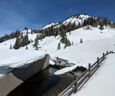 Hahns Peak Lake Picnic Site