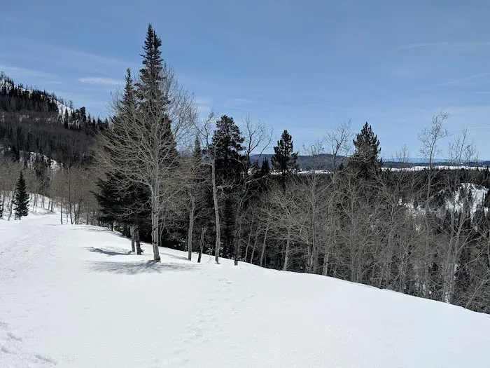 Hahns Peak Lake Picnic Site Picture 4