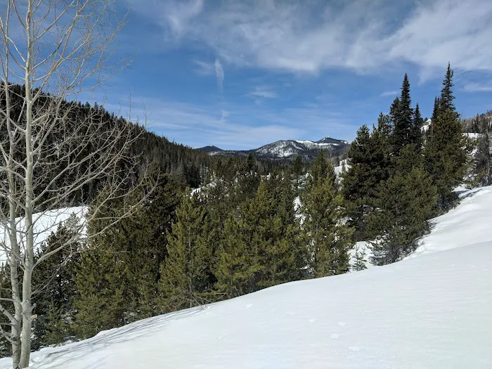 Hahns Peak Lake Picnic Site Picture 7