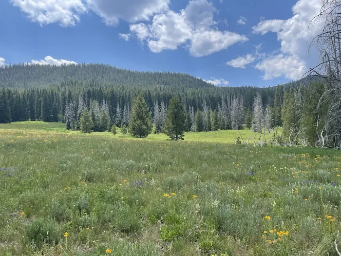 Hahns Peak Lake Picnic Site Picture 8