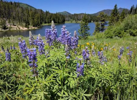 Hahns Peak Lake Campground