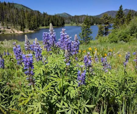 Hahns Peak Lake Campground