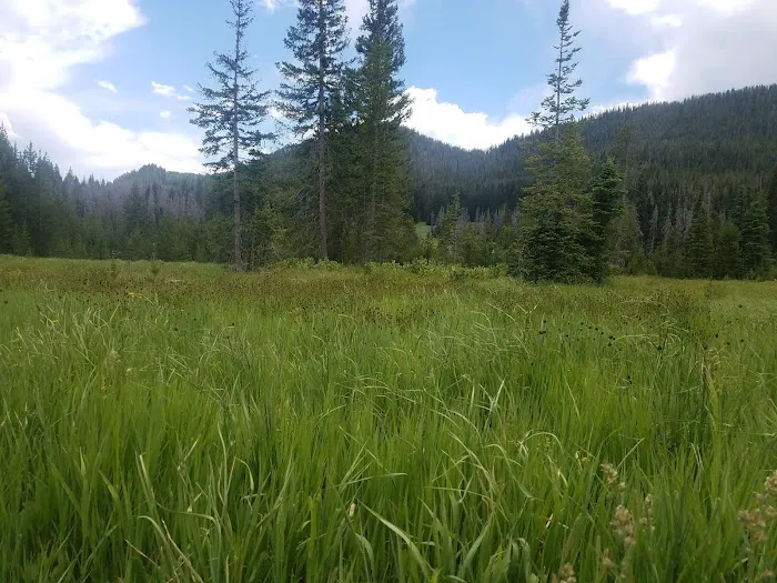 Hahns Peak Lake Campground Picture 9