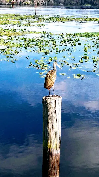 Fish Tales RV Resort Picture 4
