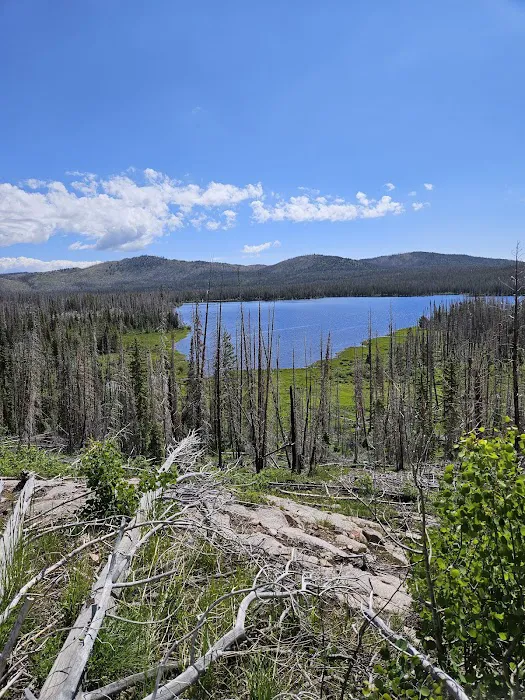 Big Creek Lake Campground Picture 1