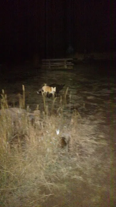 Big Creek Lake Campground Picture 4