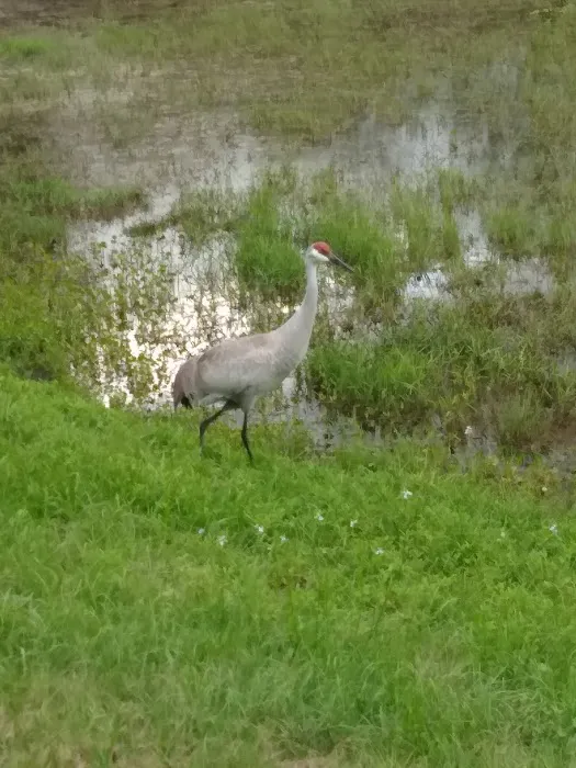 Hidden Valley Park Picture 6