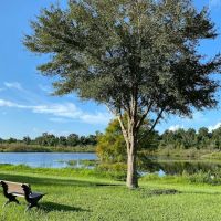 Hidden Valley Park ico