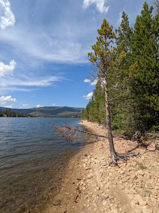 Hog Park Campground Picture 10