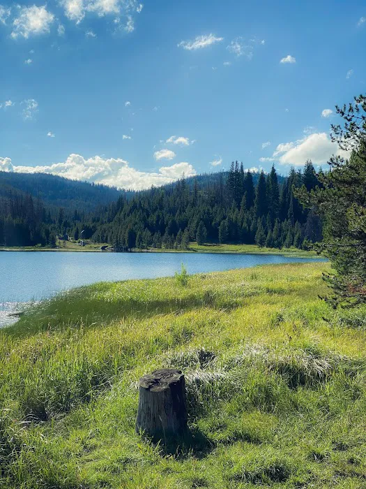 Hog Park Campground Picture 6