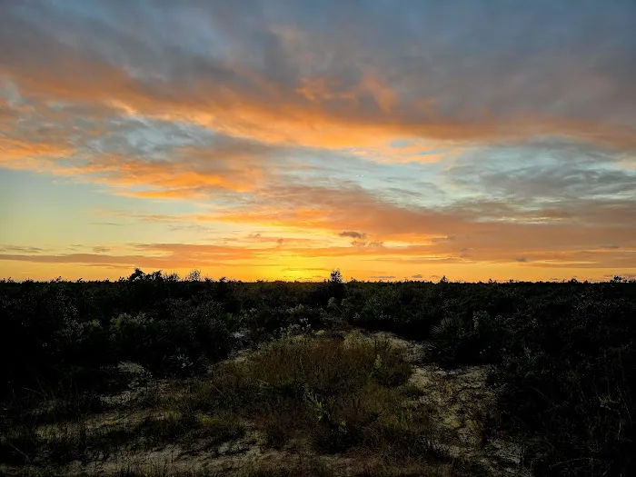 Ocala National Forest RV Park on Sunrise Lake Picture 1