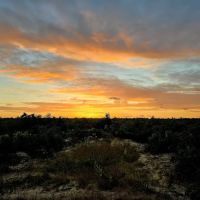 Ocala National Forest RV Park on Sunrise Lake ico