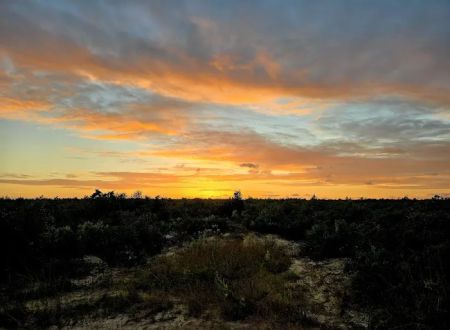 Ocala National Forest RV Park on Sunrise Lake