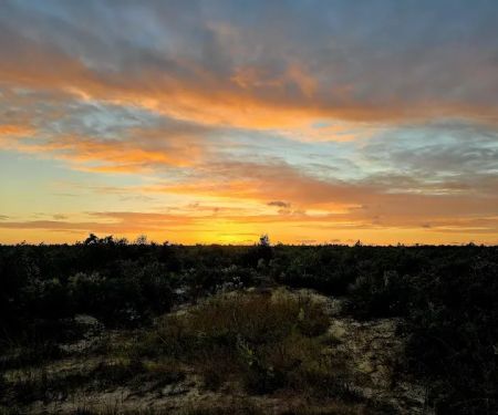 Ocala National Forest RV Park on Sunrise Lake