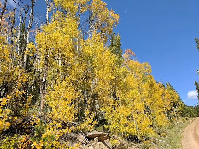 North Fork Poudre Campground Picture 4