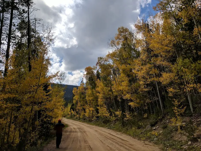 North Fork Poudre Campground Picture 1
